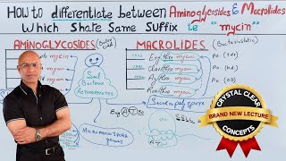 Aminoglycosides vs Macrolides  Antibiotics  Pharmacology [upl. by Kimberli979]