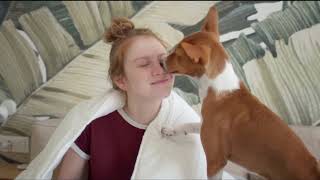 Basenji  Watch this before getting one [upl. by Tracy]