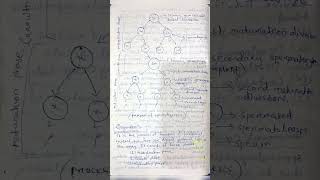 Gametogenesis spermatogenesis oogenesis biology zoology notes [upl. by Lancaster]