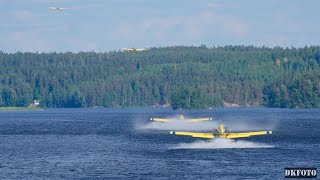 20230627 Skogsbrand  Vattenbombare  Flygplan [upl. by Eckel]