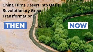 China Turns Desert into Oasis  Revolutionary Green Transformation [upl. by Ahsilac908]