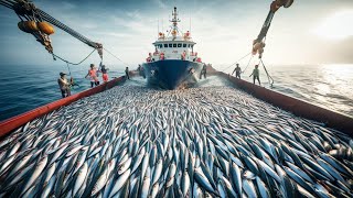 Giant Nets Massive Catches How High Tech Trawlers Harvest Tons of Fish Every Day [upl. by Waters2]