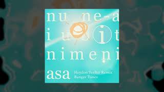 Banger Tunes  Nu nea iubit nimeni asa Heydon TerBar Remix [upl. by Posner]