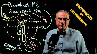 Decorticate vs Decerebrate [upl. by Oira]