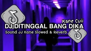 DJ DITINGGAL BANG DIKA X STARLIGHT Slowed  Reverb 🎧 [upl. by Odin44]