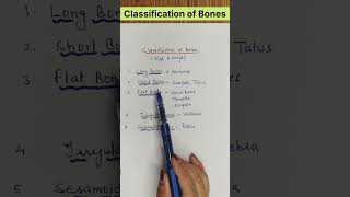 Classification of bones ll Anatomy osteology shorts youtubeshorts [upl. by Idnak451]