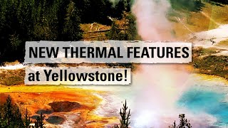 NEW THERMAL FEATURES at Yellowstone Yellowstone Volcano Update July 2023 [upl. by Kitchen]