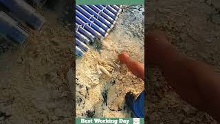 Best working day 1873 Water heater cleaning process [upl. by Oramug934]