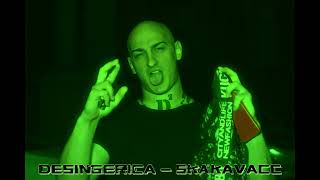 DESINGERICA  SKAKAVACC DJ BENA REMIX 2024 [upl. by Ylime]