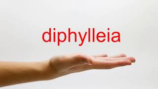 How to Pronounce diphylleia  American English [upl. by Hakceber]