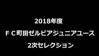 【ジュニアユースセレクション】2018年度 ＦＣ町田ゼルビアジュニアユース 2次セレクション [upl. by Ellehcim]