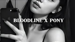 bloodline x pony lyrics  slowed amp reverb [upl. by Anma478]