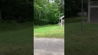 Video of Wompatuck State Park MA from John [upl. by Jeanelle573]