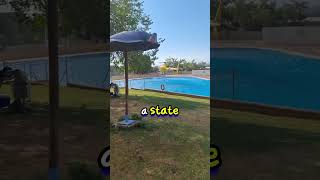 Helicopter Takes Water From Private Pool emepoli shorts [upl. by Fitz]