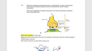 A Level AQA Biopsychology 3 synaptic transmission [upl. by Yalahs]