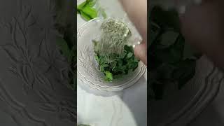 Powerful Hair Growth Tonic 2 tsp dried Rosemary leaves  alovera tulsi curry leaveshaircaretips [upl. by Fidel]