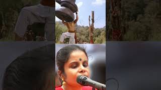 💥Vaikom vijayalakshmi 💥best songs in tamil 😇shots vaikomvijayalakshmi tamilshorts [upl. by Helli]