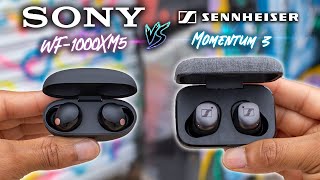 Sony WF1000XM5 VS Sennheiser Momentum TWS 3  The KING Dethroned [upl. by Kumagai]