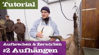 2 Aufhängen  Lehrgang Aufbrechen amp Zerwirken [upl. by Batista]