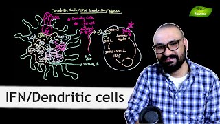 Interferons IFN  dendritic cells DC signaling  CSIRNET  Basic Science Series [upl. by Ecirtap]