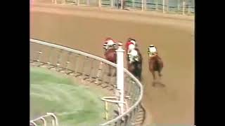 Affirmed wins the Belmont Stakes 1978 [upl. by Notreb]