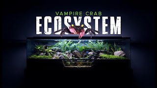 🦀 BUILDING A HUGE VAMPIRE CRAB ECOSYSTEM PALUDARIUM STEP BY STEP [upl. by Ynej]