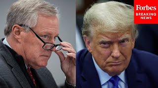 Trump Reacts To Mark Meadows Getting Immunity He Strongly Believed The Election Was Rigged [upl. by Runstadler]