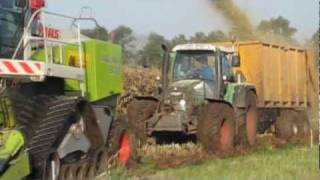 Meppelink Claas Jaguar 870 op rups Trekkerweb [upl. by Perdita]