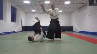 Aikido Against Resistance 2 [upl. by Pet]