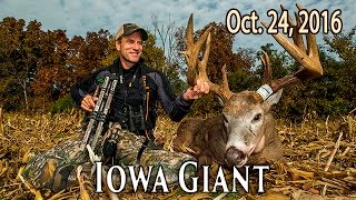 My Most Massive Buck  Using Trailer Blinds  Midwest Whitetail [upl. by Enohs]