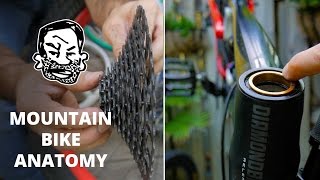 Mountain Bike Anatomy  50 parts in 5 minutes [upl. by Argyle]