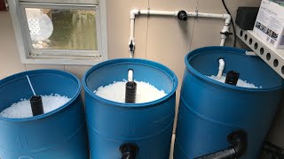 DIY 3Barrel Filter System for Koi Pond  Adding Media and Starting Up [upl. by Lennor464]