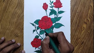 How to draw rose flowersRose flowers drawing [upl. by Romelle]