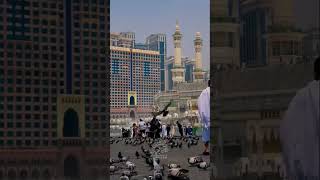 Rojana 313 martba yah Dua KarenAllah Islamic video viral story like karna🤲🤲🤲♥️♥️💙💙💚💚 [upl. by Yneffit]