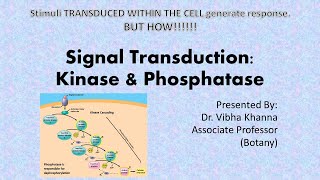 Signal transduction  Kinases and phosphatases [upl. by Orecul]