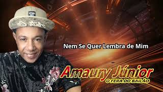 nem se lembra de mim Amaury junior [upl. by Adur]