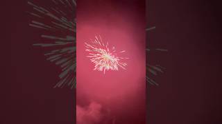 Mini firework show in under 60 seconds [upl. by Norag622]