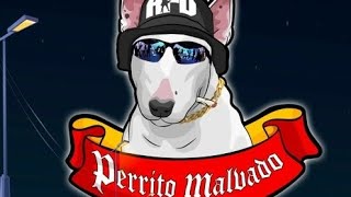 Perrito Malvado  Damas Gratis Ft LGante amp Marita  Cover Timbales [upl. by Aniloj479]