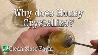 Why does honey crystallize [upl. by Yrojram]