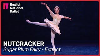 Nutcracker Sugar Plum Fairy extract  English National Ballet [upl. by Ronaele]