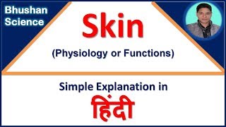 Functions of skin  Integumentary System Simple explanation in Hindi  Bhushan Science [upl. by Charry]