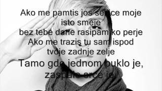 Milan Stankovic  Perje 2011 tekst [upl. by Airret]