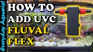 Fluval Flex 123  Fitting Fluval UVC Inline Aquarium Clarifier [upl. by Isbel]