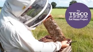 How do bees make honey for us to eat Watch our Online Field Trip to find out [upl. by Rolyt156]