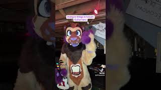 Playing guitar hero in fursuit furry fursuit costume cosplay [upl. by Alegnaed823]