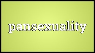 Pansexuality Meaning [upl. by Lahtnero337]