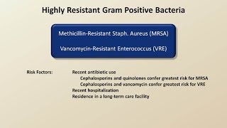 Antibiotics for Gram Positive Infections Antibiotics  Lecture 4 [upl. by Raynata]