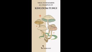 Trick to remember all examples of Kingdom Fungi  Mnemonic for Fungi  Biological Classification [upl. by Anaeda]