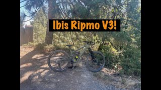 Ibis Ripmo V3 Short Term Review [upl. by Alaet208]