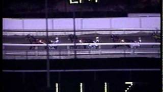 1985 Meadowlands Pace  Nihilator amp Bill ODonnell [upl. by Ijies930]